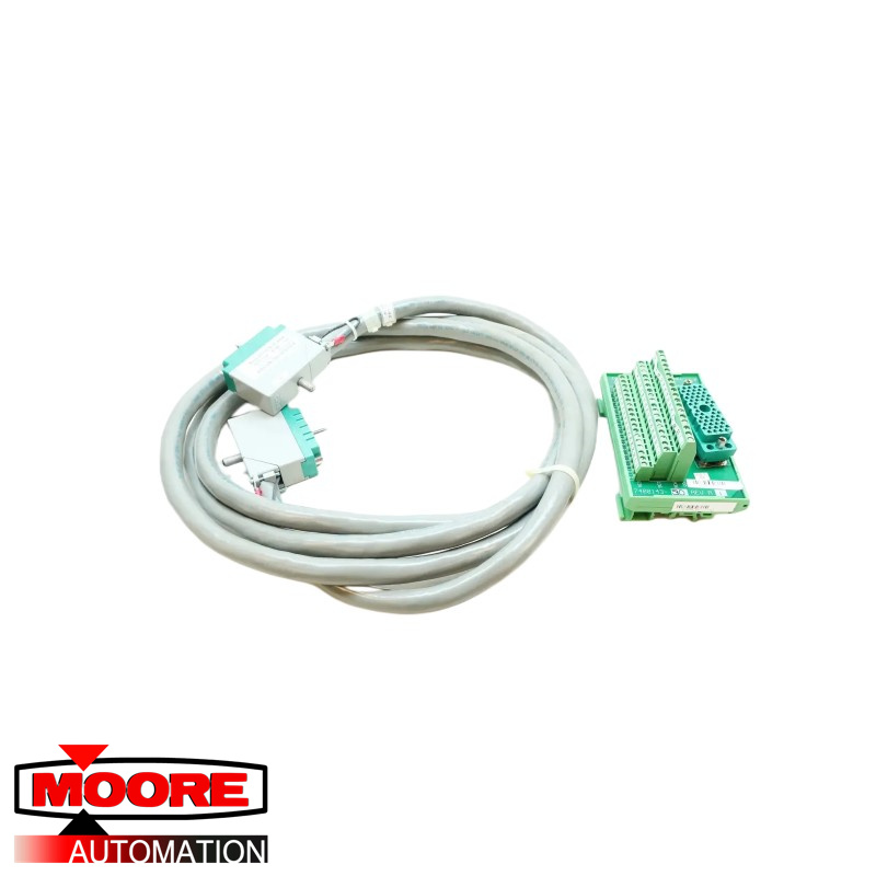 TRICONEX | 4000103-510 | Montaje de cable