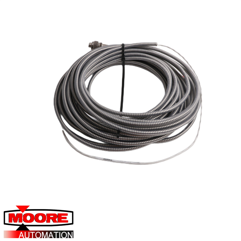 BENTLY NEVADA | 84661-6 | Cable de sonda 3300 XL de 8 mm