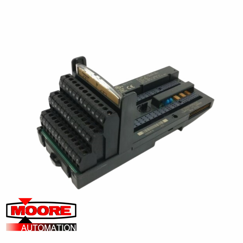 GE | IC200CHS022 | Portador compacto de E/S