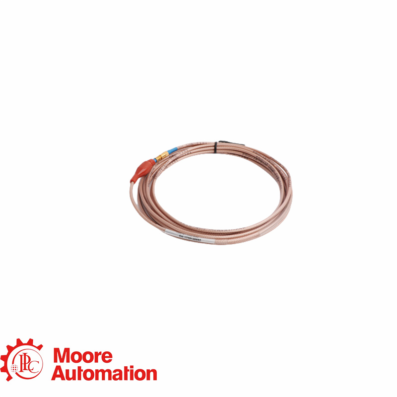 Cable de extensión PROVIBTECH TM0181-A40-B00