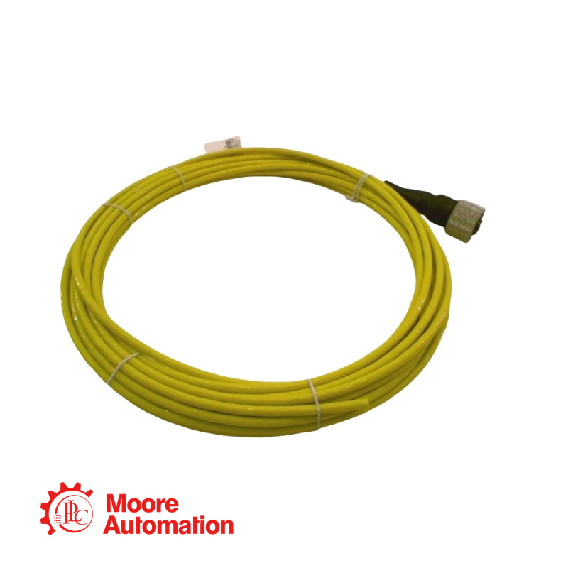 Bently Nevada CB2W100-250 Interconnect Cable