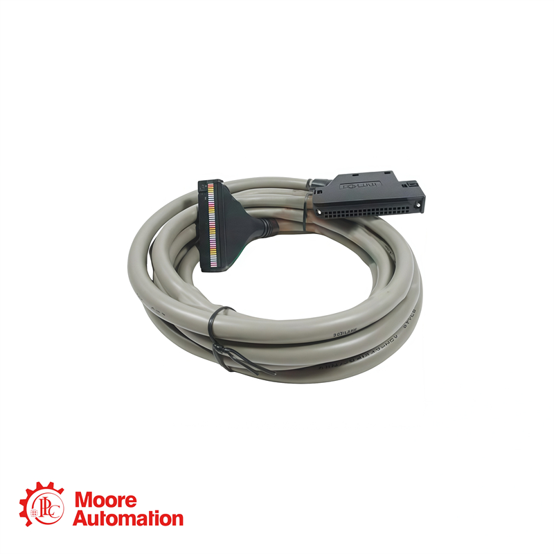 Cable de conexión Honeywell C40HF-30PB-1